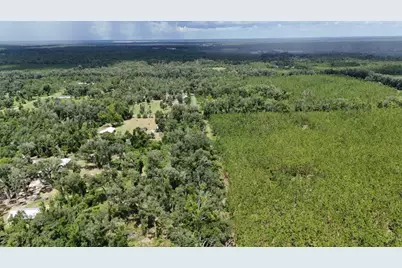 0 185th Road, Live Oak, FL 32060 - Photo 19