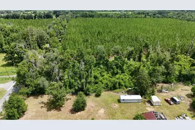 0 185th Road, Live Oak, FL 32060 - Photo 9