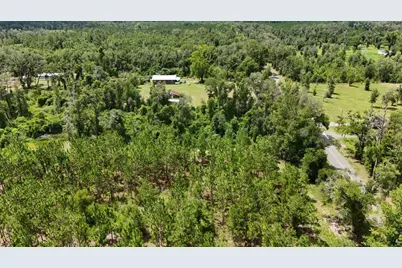 0 185th Road, Live Oak, FL 32060 - Photo 13