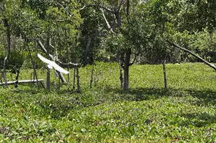 225 N Lakeshore Dr, Hypoluxo, FL 33462 - Photo 63