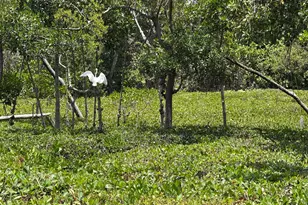 225 N Lakeshore Dr, Hypoluxo, FL 33462 - Photo 71