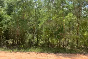115 Florida Blvd, Satsuma, FL 32189 - Photo 1