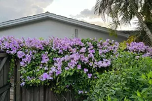 4201 Fillmore St, Hollywood, FL 33021 - Photo 51