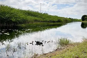 777 NW 151st Ave, Pembroke Pines, FL 33028 - Photo 29