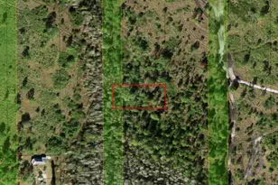 0 Holopaw Groves Rd, Saint Cloud, FL 34772 - Photo 1