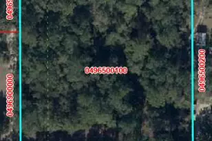 Xxx NE 35, Williston, FL - Photo 1