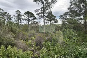 791 NE Trailside Run, Port Saint Lucie, FL 34983 - Photo 11
