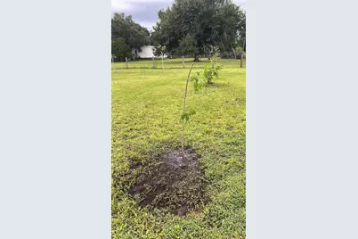 5219 N County Road 663, Bowling Green, FL 33834 - Photo 19
