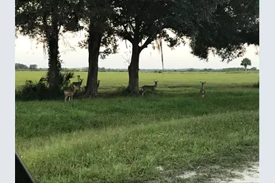 32801 US Hwy 441 N, Okeechobee, FL 34972 - Photo 3