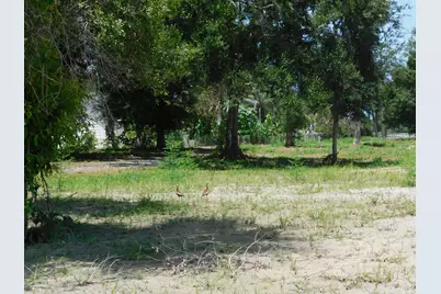 3625 Sunrise Boulevard, Fort Pierce, FL 34982 - Photo 11