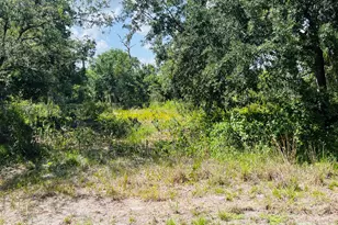 3155 Miller Ave, Lake Placid, FL 33852 - Photo 1