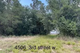 4506 3rd St W, Lehigh Acres, FL 33936 - Photo 1