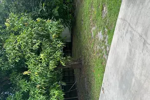 5635 Grant St, Hollywood, FL 33021 - Photo 31