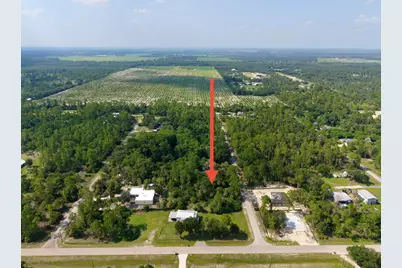 2303 Monroe Avenue, Alva, FL 33920 - Photo 9