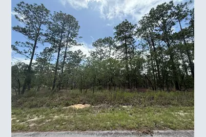 Tbd NW Tree Top Road, Dunnellon, FL 34431 - Photo 5
