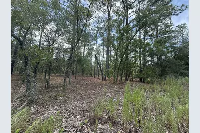 Tbd NW Tree Top Road, Dunnellon, FL 34431 - Photo 1