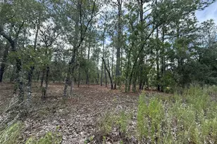 Tbd NW Tree Top Rd, Dunnellon, FL 34431 - Photo 1