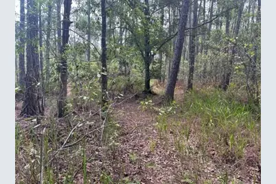 0 Water Road, Clermont, FL 33868 - Photo 3