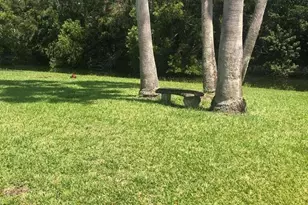8649 NW 57th Ct, Coral Springs, FL 33067 - Photo 29