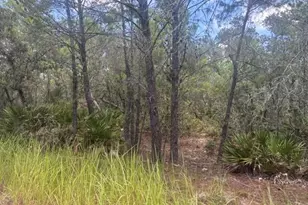 0 US Hwy 27, Lake Wales, FL 33859 - Photo 1