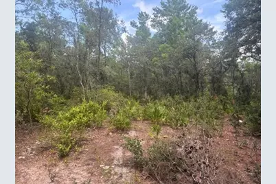 0 US Hwy 27, Lake Wales, FL 33859 - Photo 3