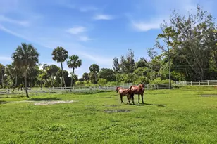 14095 Biddex Rd, Loxahatchee Groves, FL 33470 - Photo 45