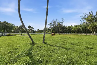 14095 Biddex Road, Loxahatchee Groves, FL 33470 - Photo 49