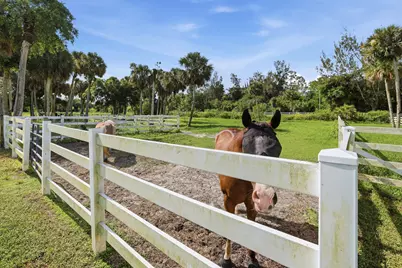 14095 Biddex Road, Loxahatchee Groves, FL 33470 - Photo 53