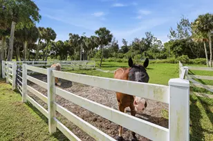 14095 Biddex Rd, Loxahatchee Groves, FL 33470 - Photo 53