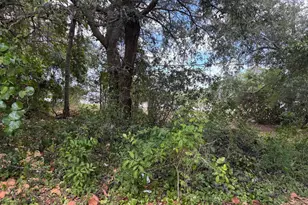 3358 S Jog Rd, Greenacres, FL 33467 - Photo 7