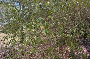 3358 S Jog Rd, Greenacres, FL 33467 - Photo 13