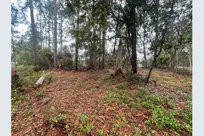 Tbd Susan Street, Interlachen, FL 32148 - Photo 5