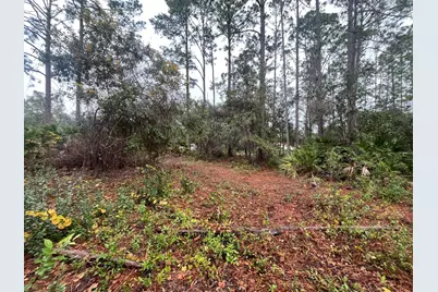 Tbd Susan Street, Interlachen, FL 32148 - Photo 7