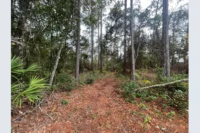 Tbd Susan Street, Interlachen, FL 32148 - Photo 3