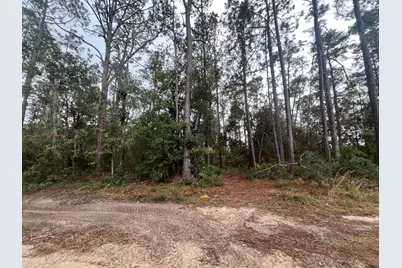 Tbd Susan Street, Interlachen, FL 32148 - Photo 1
