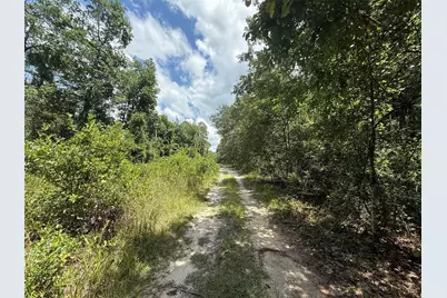 313 Calhoun Avenue, Florahome, FL 32140 - Photo 3
