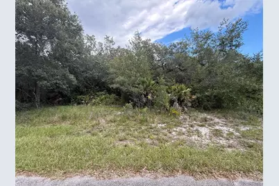 1012 Wildflower Street, Lake Placid, FL 33852 - Photo 9