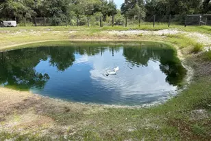 19084 NW 306th St, Okeechobee, FL 34972 - Photo 29