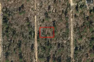 0 Grey St, Interlachen, FL 32148 - Photo 1