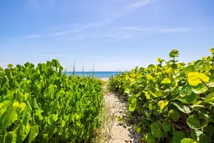 2565 S Ocean Blvd, Highland Beach, FL 33487 - Photo 59