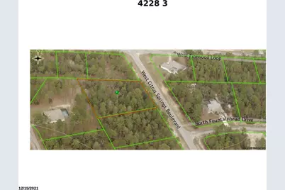 4228 W Citrus Springs Boulevard, Dunnellon, FL 34433 - Photo 3