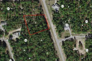 4228 W Citrus Springs Blvd, Dunnellon, FL 34433 - Photo 1
