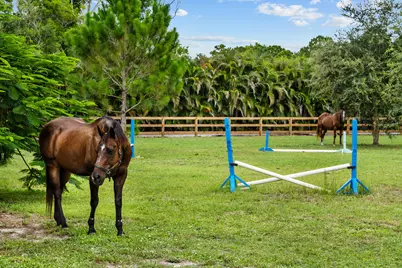 19925 Black Falcon Road, Loxahatchee, FL 33470 - Photo 3