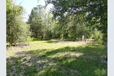 21496 NW 256th Street, Okeechobee, FL 34972 - Photo 9