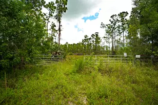 12460 79th St, Fellsmere, FL 32948 - Photo 19