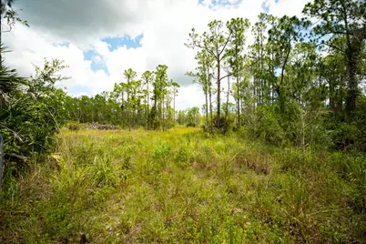 12460 79th Street, Fellsmere, FL 32948 - Photo 13