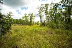 12460 79th St, Fellsmere, FL 32948 - Photo 13