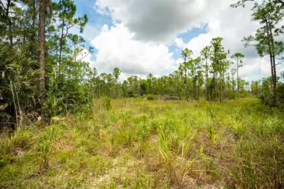 12460 79th Street, Fellsmere, FL 32948 - Photo 23