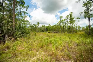 12460 79th St, Fellsmere, FL 32948 - Photo 23