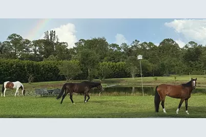 2770 E Road, Loxahatchee Groves, FL 33470 - Photo 17
